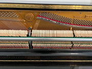 Hohner HP-120g