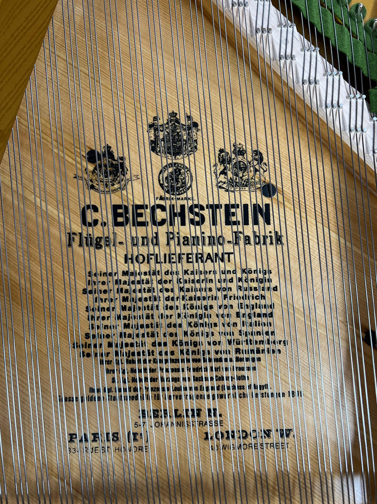 C. BECHSTEIN,Mod.B 203cm Flügel/inkl. 3 Jahre Garantie und Erststimmung